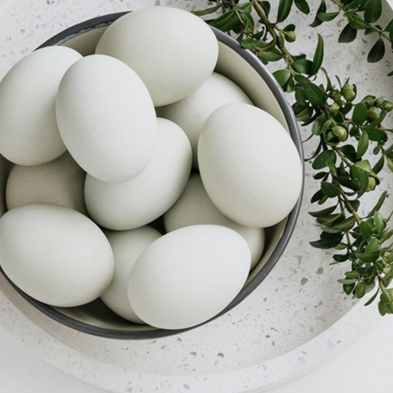 White Eggs